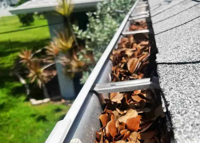 Diplomat gutter cleaning home page
